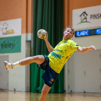 HENDRIK KOKS